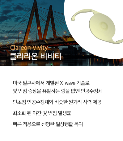 비비티