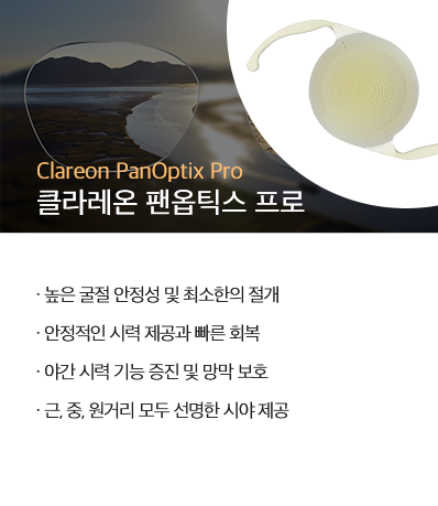 팬옵틱스