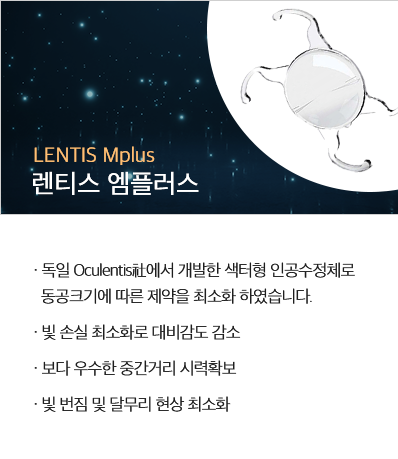 엠플러스